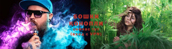 гидропоника Покачи