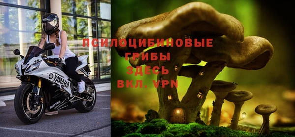 PSILOCYBIN Белоозёрский