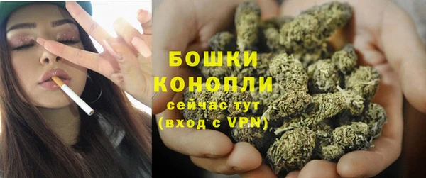 PSILOCYBIN Белоозёрский