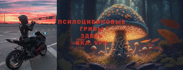спиды Белокуриха